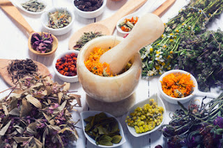 Top 10 Medicinal Herbs And What They Treat