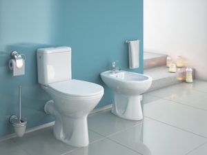 Why You Should A Bidet in Your Toilet