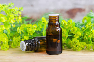 Best Essential Oils for Aging Skin