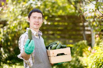 Cucumber benefits for men