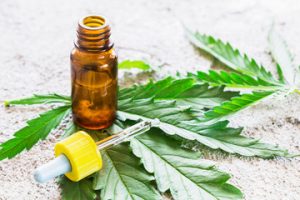 CBD oil facts