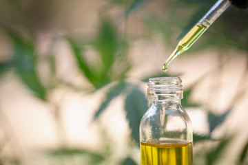 how does Hemp oil differ from CBD oil?