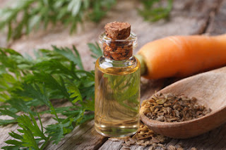 Carrot Seed Oil-Best Essential Oils for Aging Skin