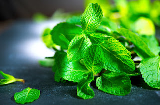 Nigerian-herbs-and-their-health-benefits