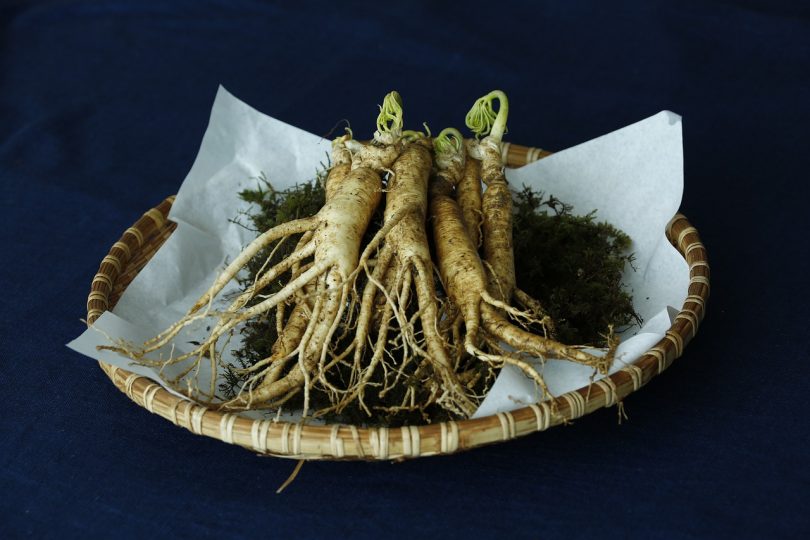 Ginseng root