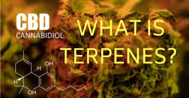 Terpenes