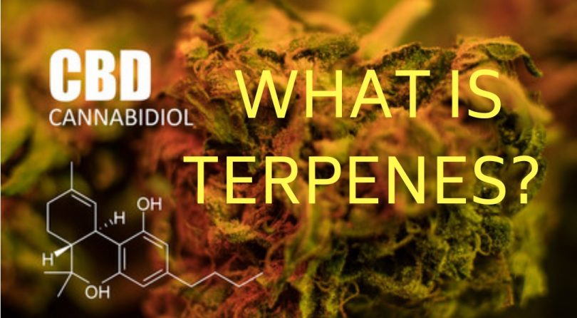 Terpenes