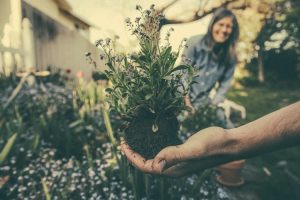 Positive Gardening effects on mental health