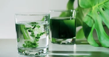 Everything You Should Know About Liquid Chlorophyll